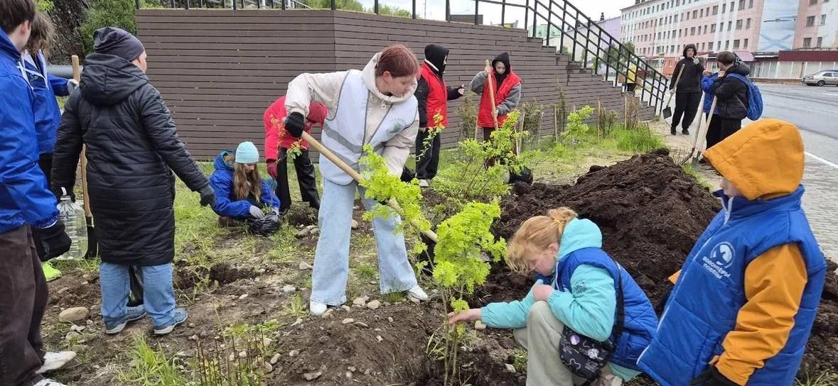 Более 16 тысяч деревьев и кустарников высадили в Мурманской области в память о защитниках Родины